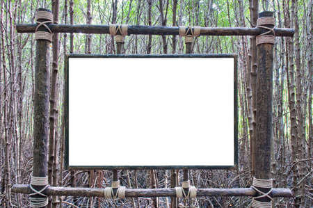 White board in the mangroves.の写真素材