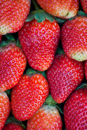 Fresh ripe perfect strawberry - Food Frame Backgroundの写真素材