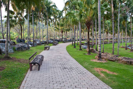 bench in peaceful park in springのeditorial素材