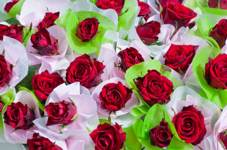 Red roses background - natural texture of love.の写真素材