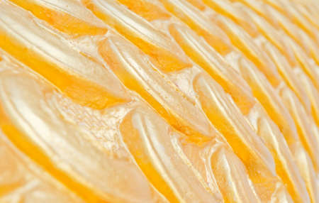 Texture background pattern Flex the golden dragon の写真素材