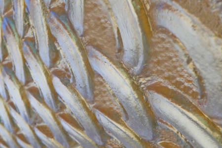 Texture background pattern Flex the golden dragon.の写真素材