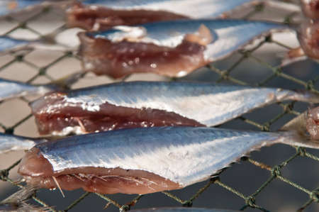 Dried fish to be sold in the market Thailand.の写真素材