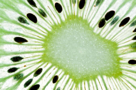 Sliced kiwi  in water isolated on a white background.の写真素材