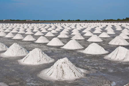 Salt fields with piled up sea salt in Thailand