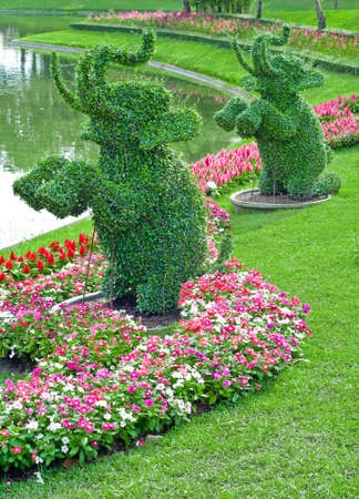 Ivy in the shape of elephants in garden of thailandの写真素材