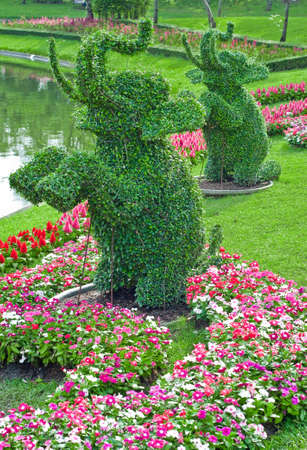 Ivy in the shape of elephants in garden of thailandの写真素材