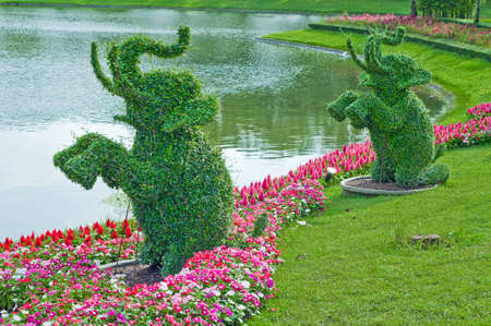 Ivy in the shape of elephants in garden of thailandの写真素材