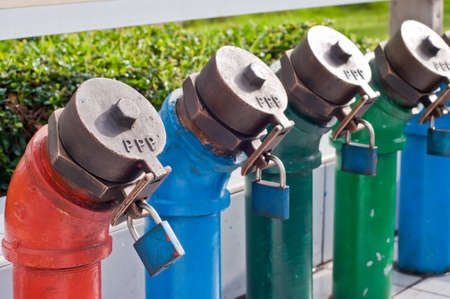 Oil and gas pipelines in plants.