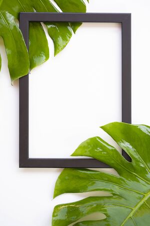 Black picture frame with part of fresh green jungle monster leaves on white background in vertical frame, create design in summer composition conceptの写真素材