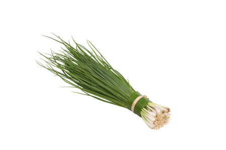 Bunch of fresh organic green spring onions on isolated white background