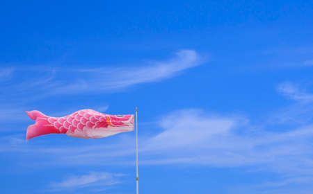 Pink Koi fish flag against white cloud and blue sky in minimal style