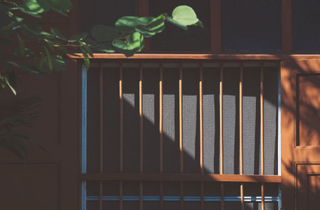 Sunlight and shadow on wooden window surface of the old vintage house with blurred green branch on foregroundの写真素材