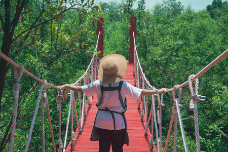 Rear view of female tourist walking across red hanging wooden bridge in mangrove forest at natural parkland, ecotourism conceptの写真素材