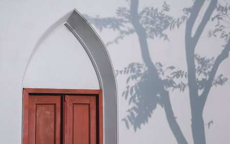 The old vintage arch wooden door on white concrete wall with tree shadow on surfaceの写真素材