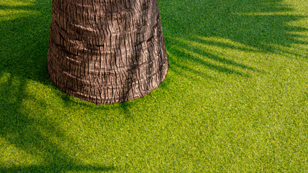 Sunlight and shadow on base of palm tree trunk on decorative artificial grass floor in outdoor gardening areaの写真素材