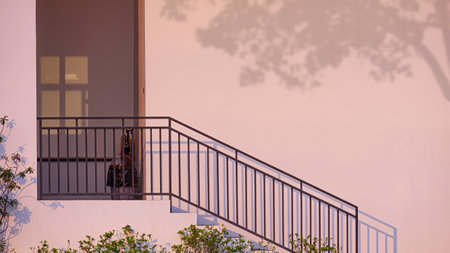Sunlight on metal stair railing with tree branch shadow on surface white concrete wall at back side...