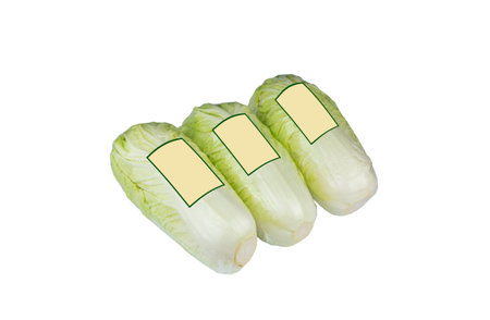 Three Organic Chinese Cabbage with Plastic Wrapping and blank label stickers isolated on white backgroundの写真素材