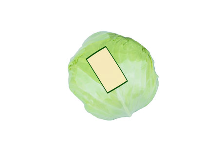 Organic cabbage with empty label sticker on Plastic Wrapping isolated on white background