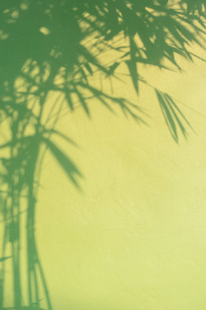 Background of green Concrete Wall with Sunlight and bamboo Tree Shadow on Surface in Vertical frameの写真素材
