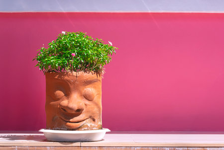 Head shaped clay plant pot with green ornamental plant look like hairstyles on tile floor with pink wall background in home gardening areaの写真素材