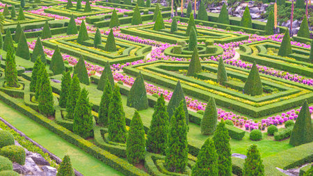 Geometric pattern of shrubs and pink bougainvillea flowers with topiary trees inside of beautiful French ornamental garden style in Nong Nooch tropical garden at Pattaya, Thailandの写真素材