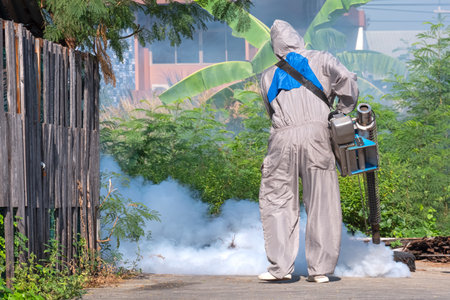 Healthcare worker using fogging machine to spraying insecticide for removal mosquitoes and prevent dengue fever on overgrown in slum area, rear view with copy spaceの写真素材