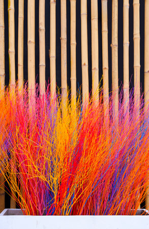 Decorative colorful dry twigs look like bush in white cement potted plant in front of bamboo wall of vintage street coffee kiosk in vertical frameの写真素材