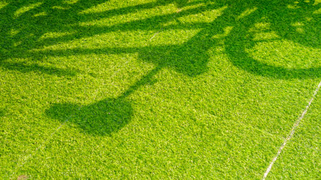 Green Artificial Grass Turf background with Light and Bicycle Shadow on Surface in Front Yard area at Homeの写真素材