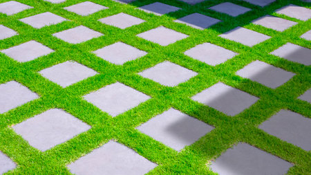 Gray square cobblestone tile floor decoration and green grass on pavement in front yard at home with sunlight and shadow on surface, high angle view with copy spaceの写真素材