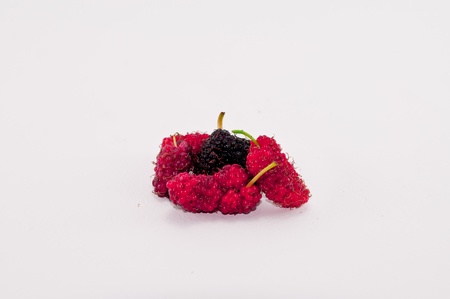 mulberryの写真素材