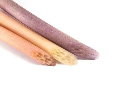 Lotus stem for thai foods,の写真素材