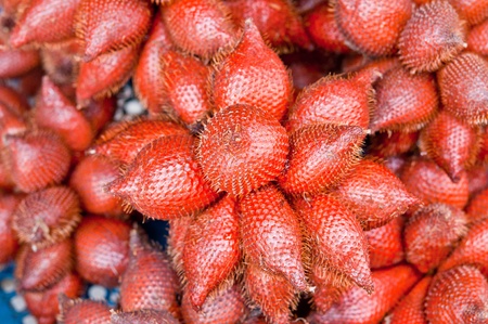 zalacca.Fruit that is sweet-sour.の写真素材