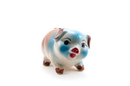 The pig piggy bank