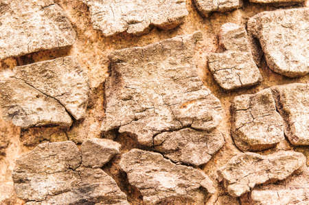 Pattern of wood.の写真素材