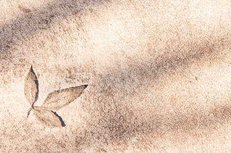 Striped Plaster wallsの写真素材