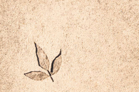 Striped Plaster wallsの写真素材