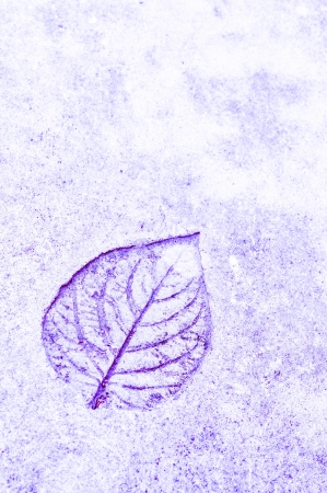 Striped Plaster wallsの写真素材