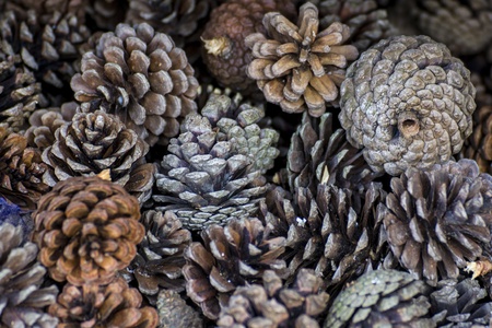 texture background of Cones 
