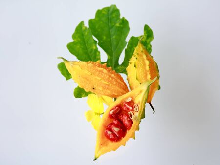 Bitter gourd on white background , beautiful
