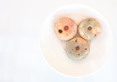 donut overgrown with fungusの写真素材