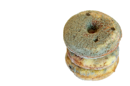 donut overgrown with fungusの写真素材