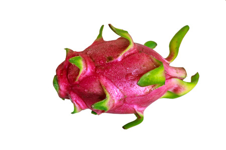 Dragon fruit Hylocercus undatus Haw Britt.  Rose.の写真素材