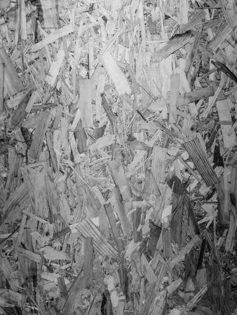 Closeup image of pressed wood textureの写真素材