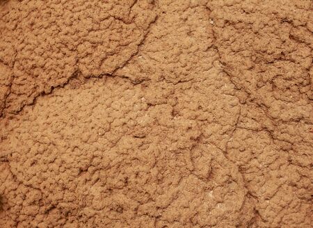 Termite nest