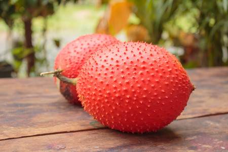 Gac Fruit on old wooden in garden