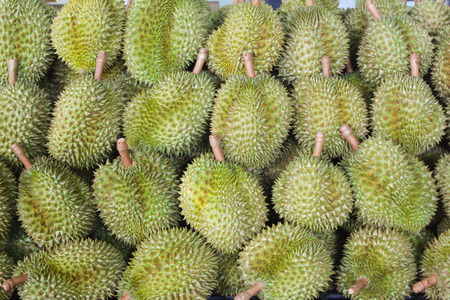 durian mon thong king of fruits,durian mon thong backgroundの写真素材