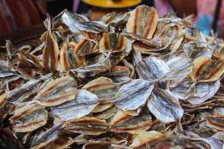 Close up dried squid for backgroundの写真素材