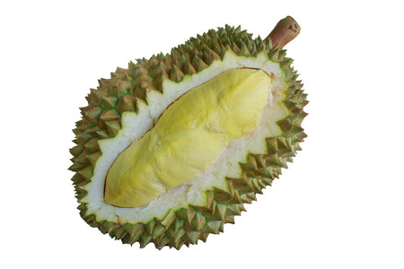 durian mon thong king of fruits in gardenの写真素材