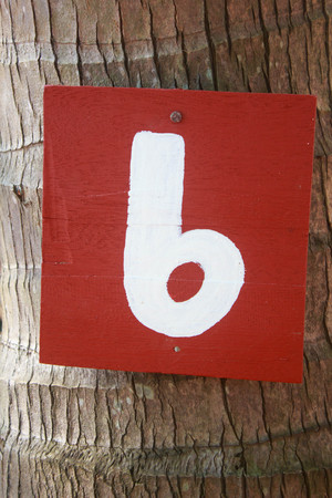 White number 6  on red wood floor